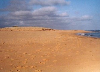 Ninety Mile Beach