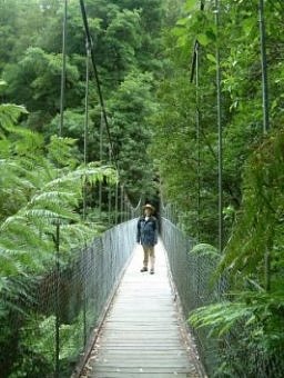 Katja, Tarra Bulga National Park