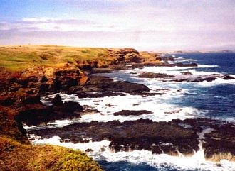 Phillip Island