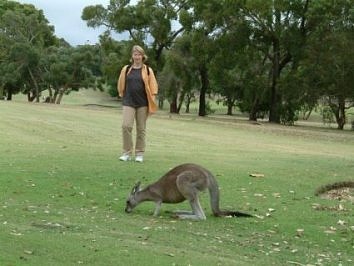 Anglesea Golf Course