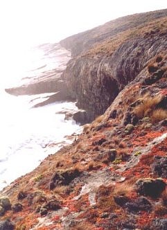 Cape du Couedic