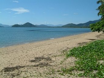 Beach at Palm Cove