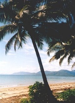 Beach at Port Douglas