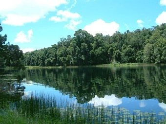 Lake Barrine