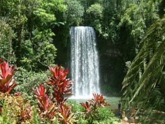 Millaa Millaa Falls