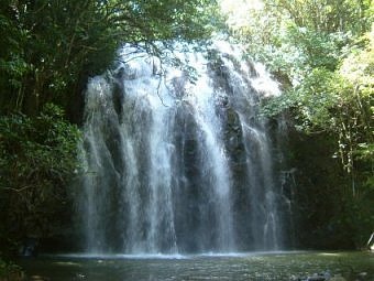 Ellinjaa Falls