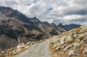 Alpen2014_381