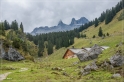 Alpen2014_430