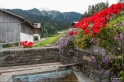 Alpen2014_435