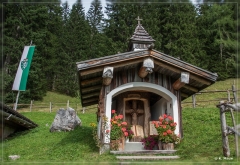 Alpen2015_495