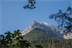 Alpen2015_221