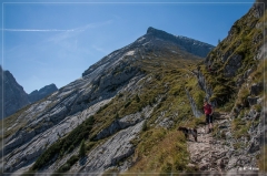 Alpen2015_240