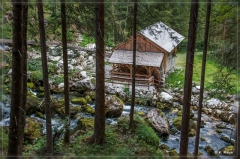 Alpen2015_307