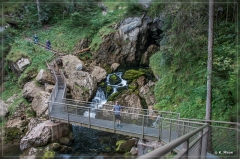 Alpen2015_311