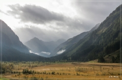 Alpen2015_325