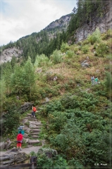Alpen2015_330