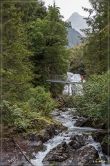 Alpen2015_340