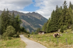 Alpen2015_345