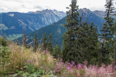 Alpen2015_355