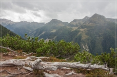 Alpen2015_358