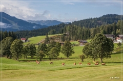 Alpen2015_369