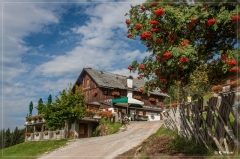 Alpen2015_374