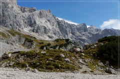 Alpen2015_424