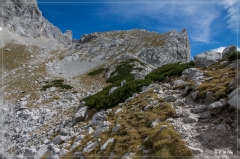 Alpen2015_430