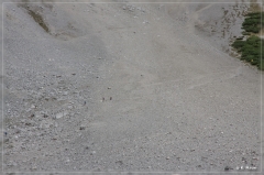 Alpen2015_435