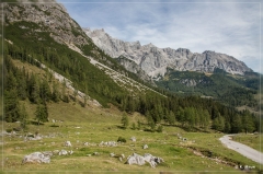 Alpen2015_438