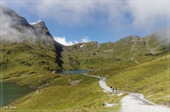 alpen2016_0074