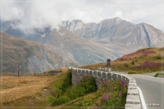 alpen2016_0242