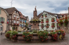 alpen2016_0015