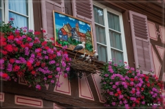 alpen2016_0671