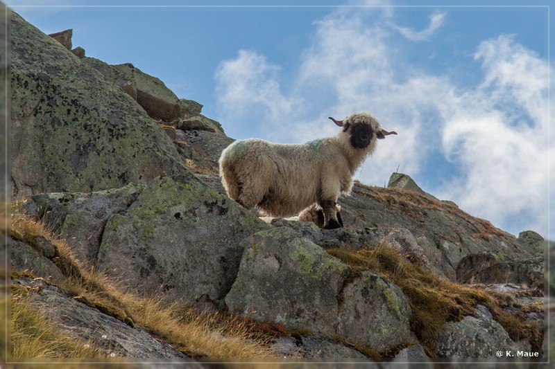 alpen2016_0514.jpg