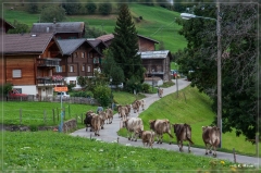 alpen2016_0437