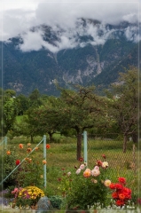alpen2016_0459