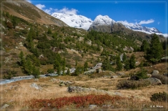 alpen2016_0470