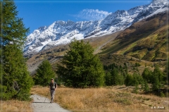alpen2016_0472