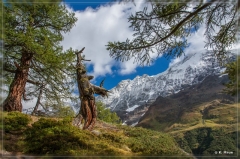 alpen2016_0490
