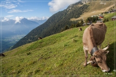 alpen2016_0497
