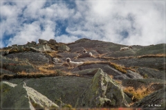 alpen2016_0513
