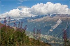 alpen2016_0532