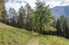 alpen2016_0540