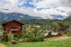 alpen2016_0553