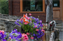 alpen2016_0564