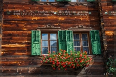 alpen2016_0568