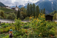 alpen2016_0569