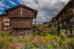 alpen2016_0580