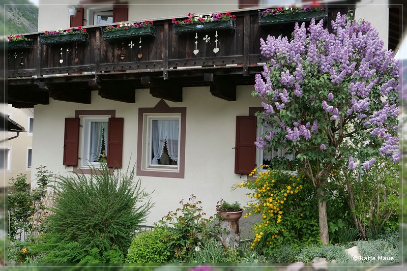 Erdbeerweg_Vinschgau_2018_02.jpg